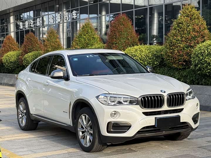 BMW X6 2015 x Drive 35i Leading — фото 3