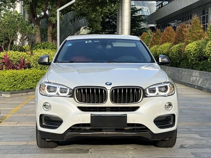 BMW X6 2015 x Drive 35i Leading — фото 2