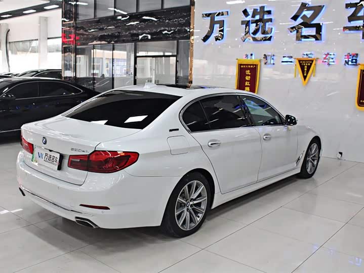 BMW 5-Series 2019 530 Le — фото 20