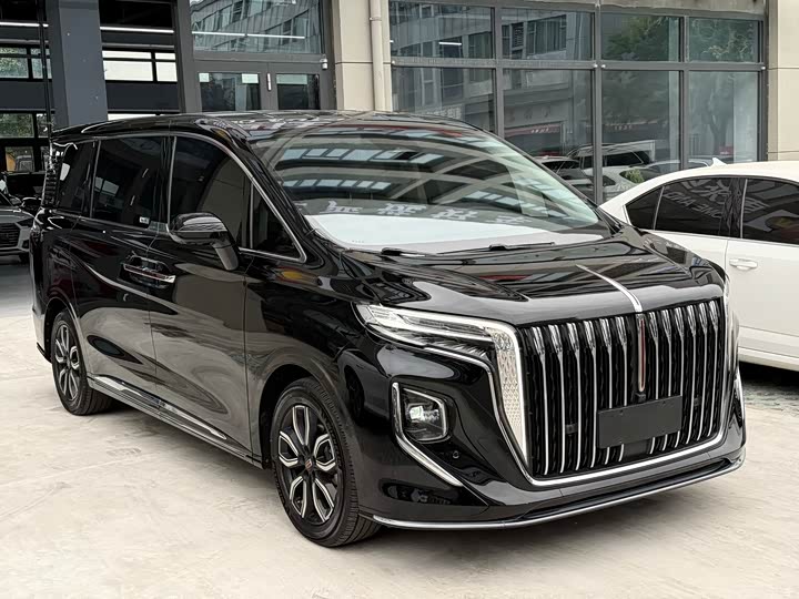 Hongqi HQ9 2023 2.0 T — фото 3