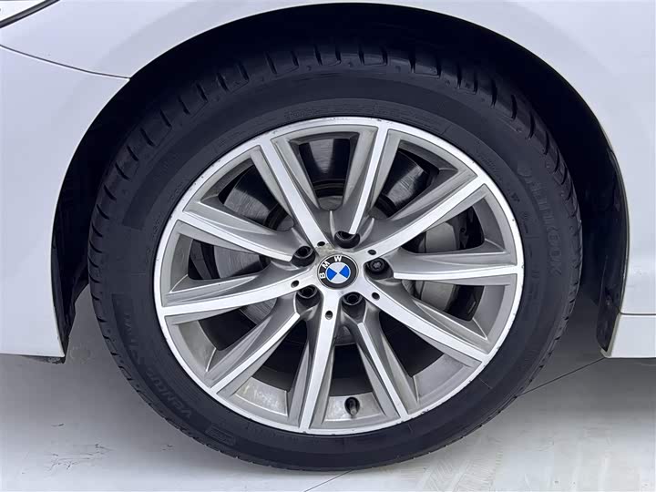 BMW 5-Series 2018 530 Li Leading — фото 11