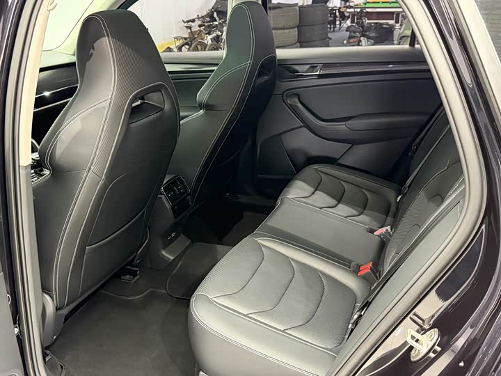 Skoda GT 2021 TSI 380 4 WD — фото 16