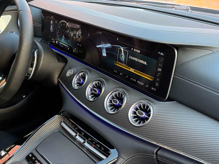 Mercedes-Benz AMG 2019 AMG GT 63 S 4 MATIC+ — фото 13