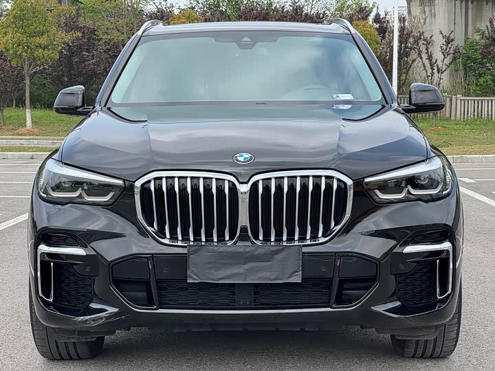 BMW X5 2022 x Drive 30 Li M — фото 3