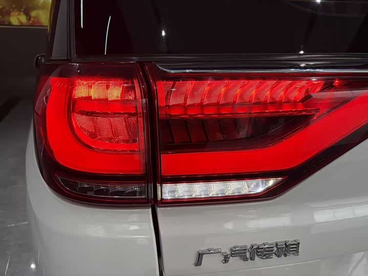 Trumpchi M8 2020 390 T — фото 8