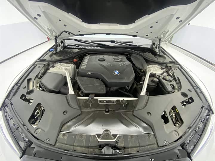 BMW 5-Series 2023 530 Li Leading M — фото 12