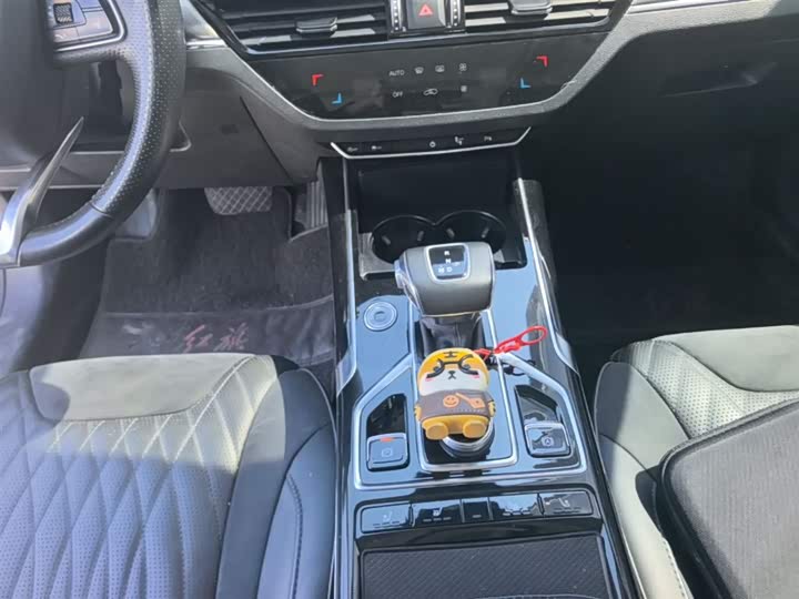 Hongqi HS5 2022 2.0 T 4 WD — фото 14