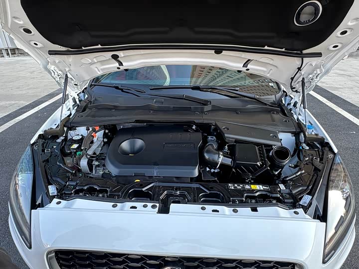 Jaguar E-PACE 2024 R-DYNAMIC S — фото 11
