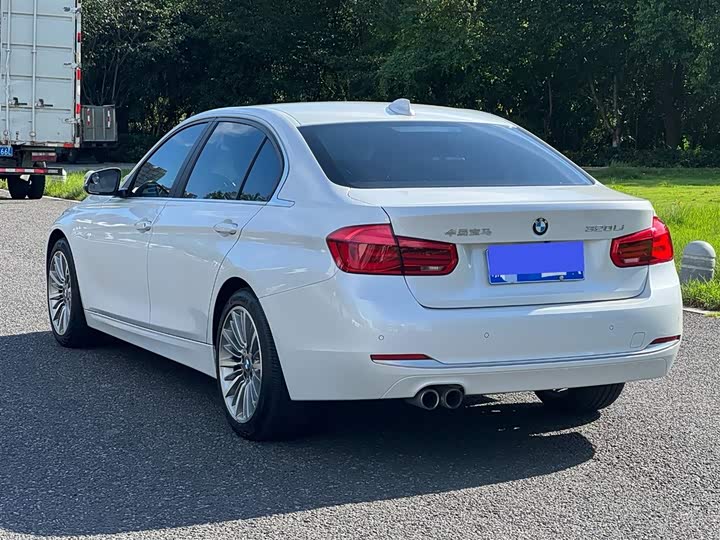 BMW 3-Series 2019 320 Li — фото 10