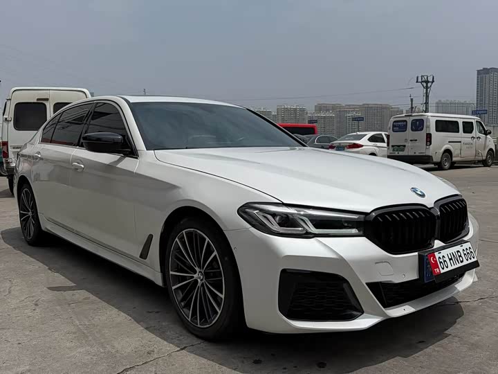 BMW 5-Series 2020 530 Li Leading M — фото 3
