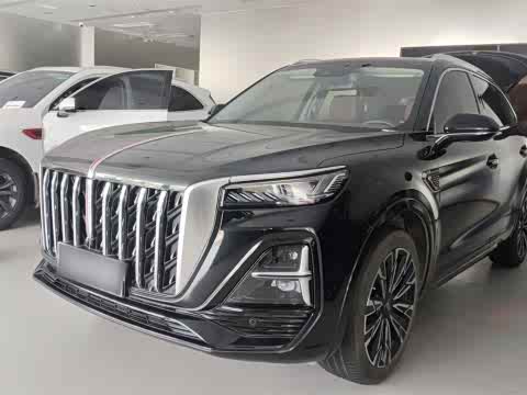 Hongqi HS5 2023 2.0 T 4 WD Pro — фото 28