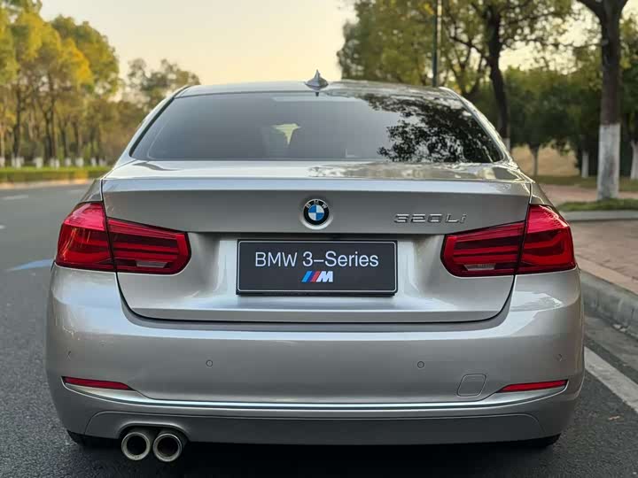 BMW 3-Series 2018 320 Li — фото 8