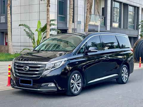 Trumpchi M8 2018 320 T — фото 10
