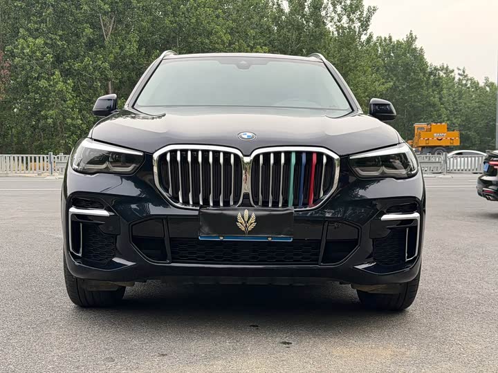 BMW X5 2022 x Drive 30 Li M — фото 2