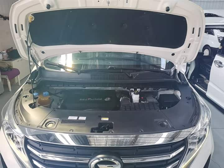 Trumpchi M8 2021 390 T — фото 20