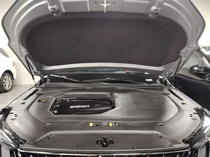 Trumpchi GS8 2022 2.0 TGDI 2 WD ( ) — фото 20