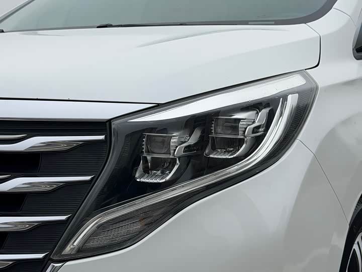 Trumpchi M8 2018 320 T — фото 10