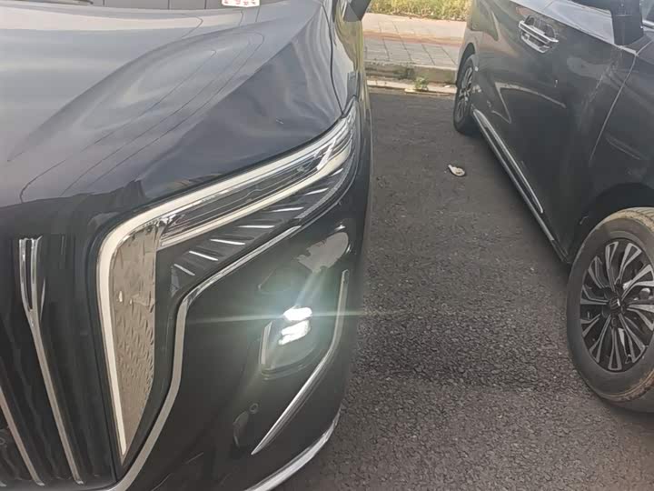 Hongqi HQ9 PHEV 2024 2.0 T 4 WD — фото 24