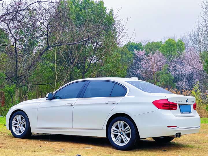 BMW 3 Series 320Li стиль — фото 15