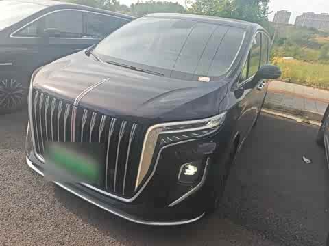 Hongqi HQ9 PHEV 2024 2.0 T 4 WD — фото 26