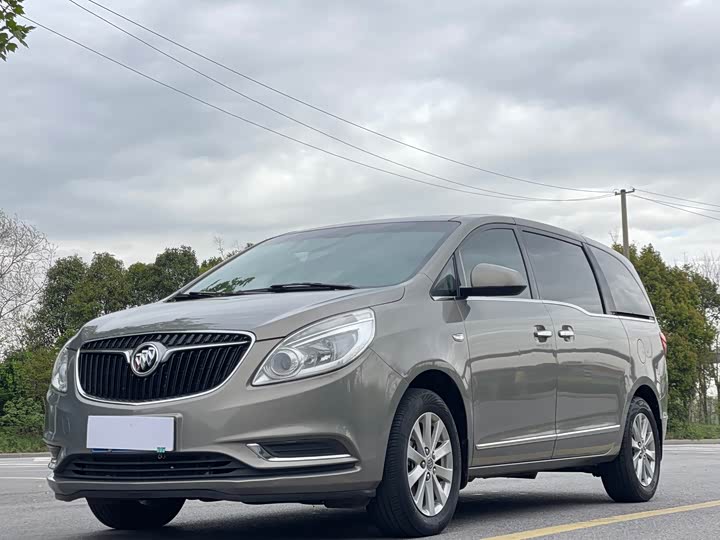 Buick GL8 25S люкс V — фото 2