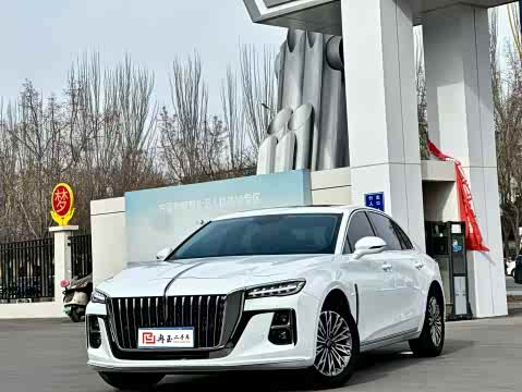 Hongqi H5 2023 1.5 T DCT — фото 10