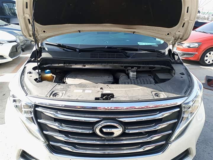 Trumpchi M8 2018 320 T — фото 19