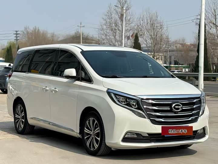 Trumpchi M8 2020 390 T — фото 3