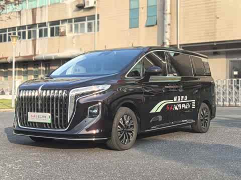 Hongqi HQ9 PHEV 2024 2.0 T 4 WD — фото 25