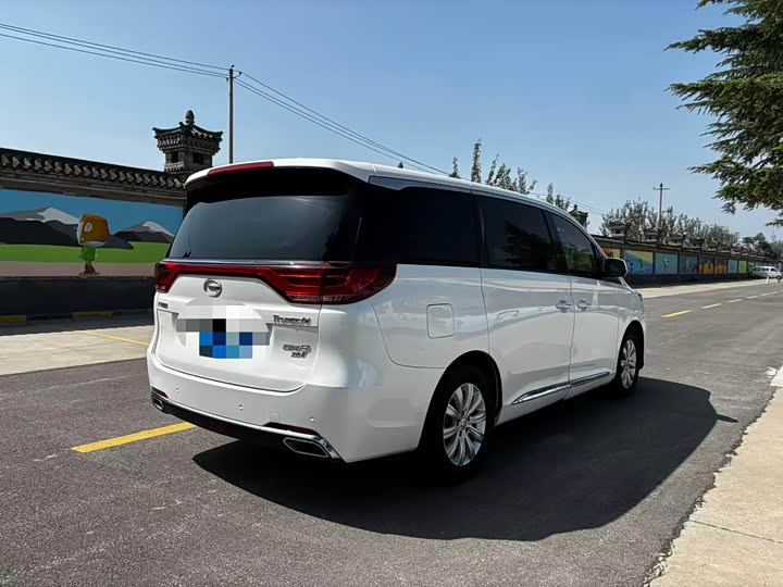 Trumpchi M8 2018 320 T — фото 14