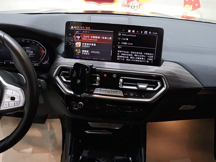 BMW X3 2023 x Drive 30i Leading M — фото 13