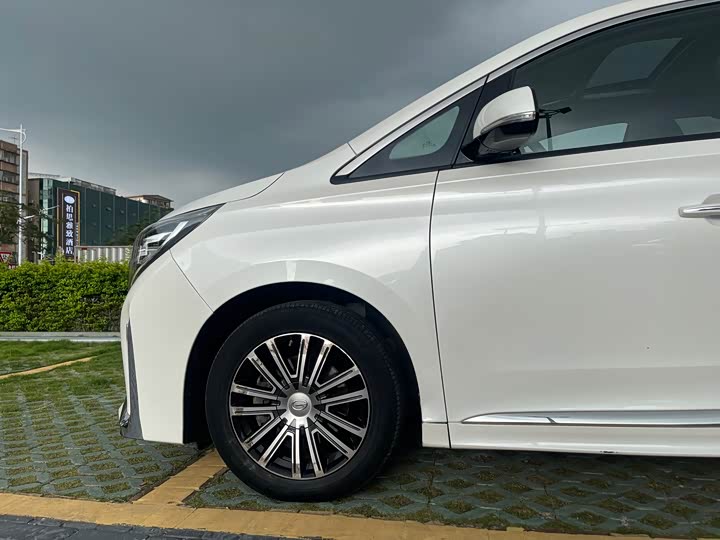 Trumpchi M8 2021 390 T — фото 8