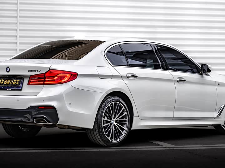 BMW 5-Series 2020 530 Li Leading M — фото 4