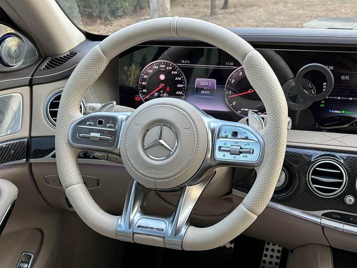Mercedes-Benz S-Class 2014 AMG S 65 L — фото 10