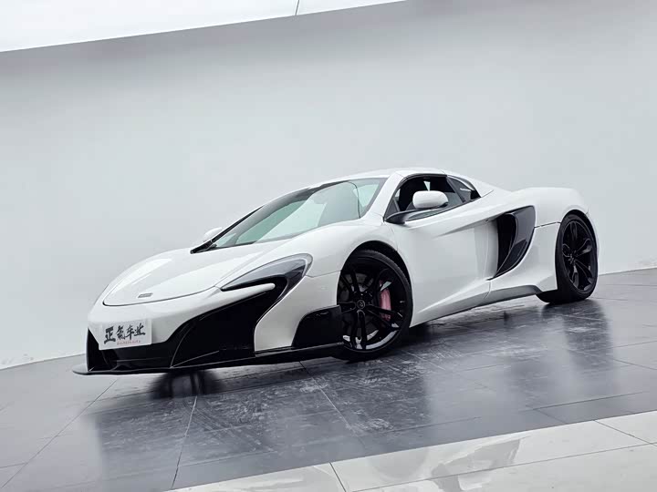 McLaren 12 2013 3.8 T SPIDER — фото 7