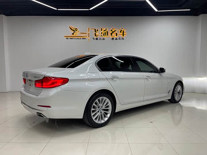 BMW 5-Series 2018 530 Li Leading — фото 16