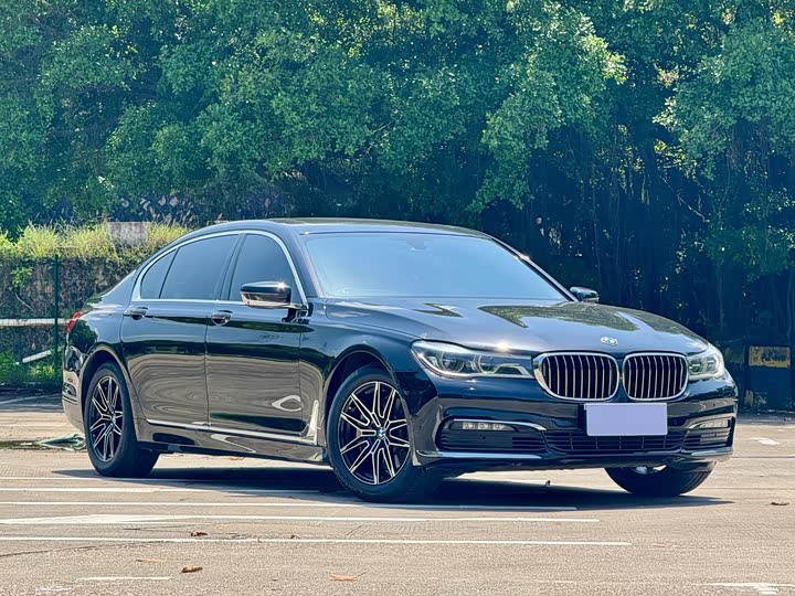 BMW 7 Series 730Li люкс — фото 3