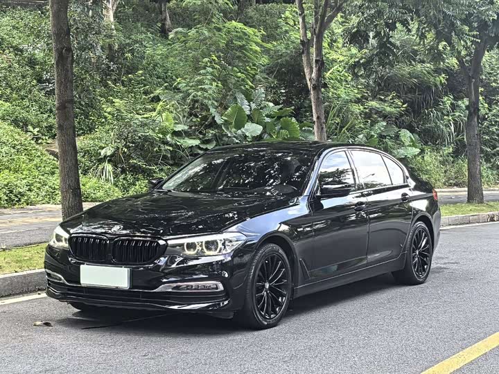 BMW 5-Series 2018 525 Li