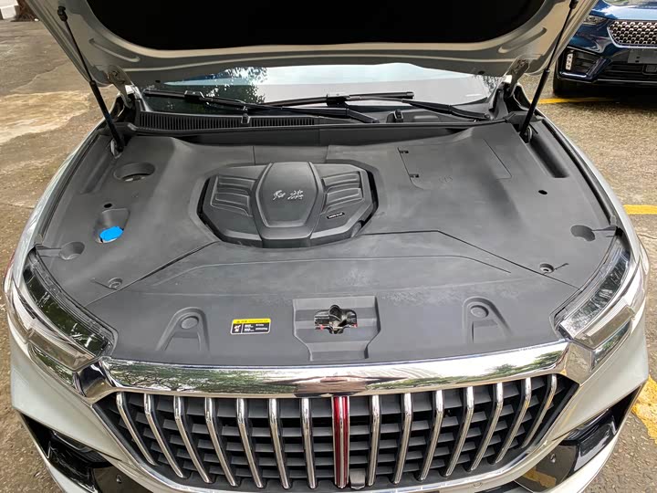 Hongqi HS5 2019 2.0 T 4 WD — фото 13