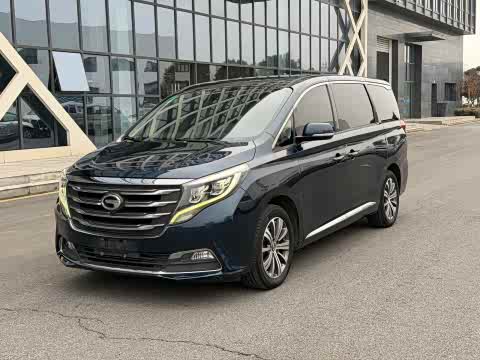 Trumpchi M8 2018 320 T — фото 20