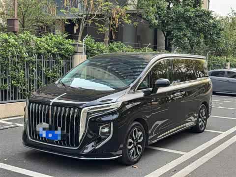 Hongqi HQ9 2023 2.0 T — фото 11