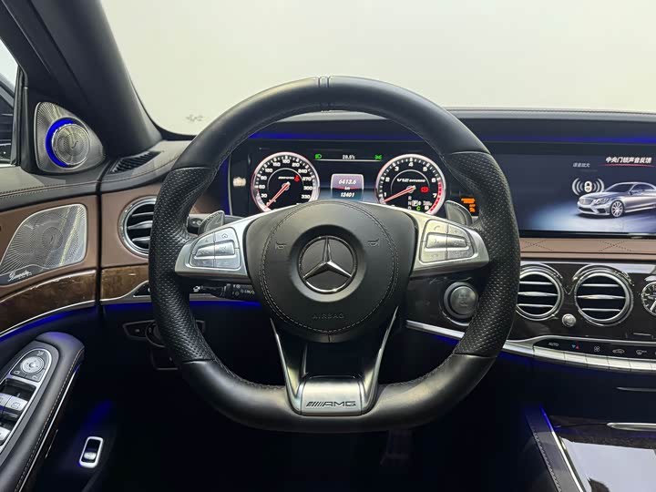 Mercedes-Benz S-Class 2014 AMG S 65 L — фото 9