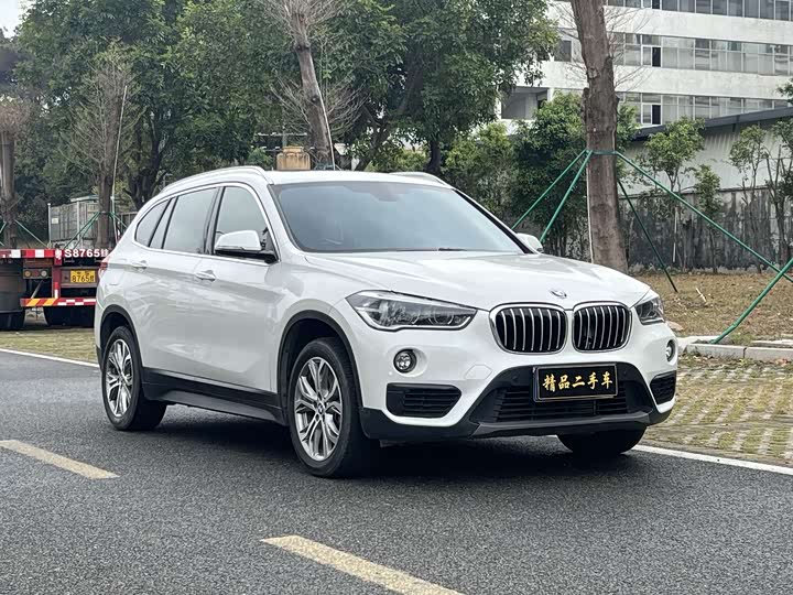 BMW X1 2018 s Drive 20 Li Leading — фото 4