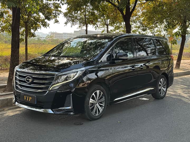 Trumpchi M8 2020 390 T — фото 1