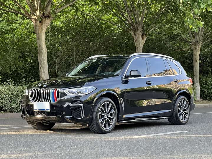 BMW X 5 2022 x Drive 30 Li M