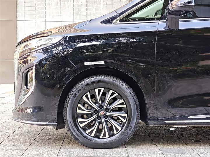Hongqi HQ9 PHEV 2024 2.0 T 4 WD — фото 5