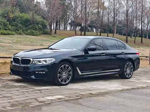 BMW 5-Series 2018 530 Li M — фото 10