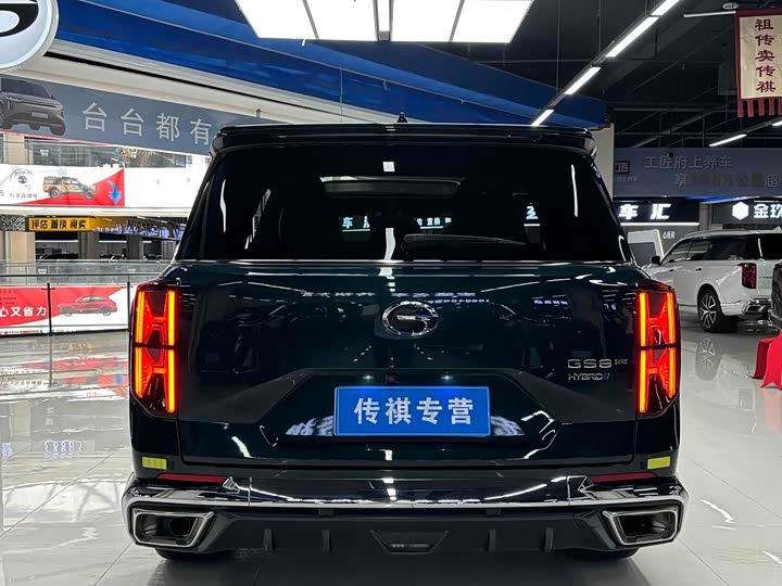Trumpchi GS8 2024 2.0 TM 4 WD — фото 6