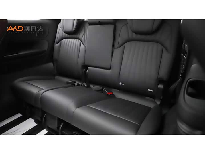 Trumpchi E9/2.0T/23 /MAX — фото 9