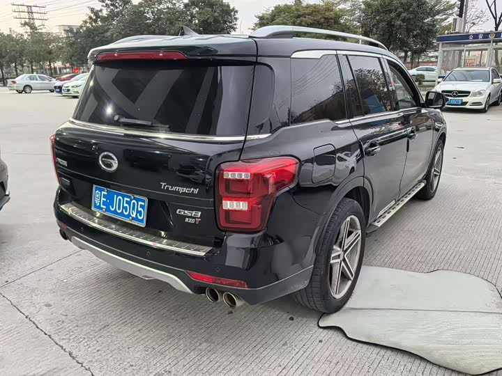 Trumpchi GS8 2017 320 T 2 WD ( ) — фото 5